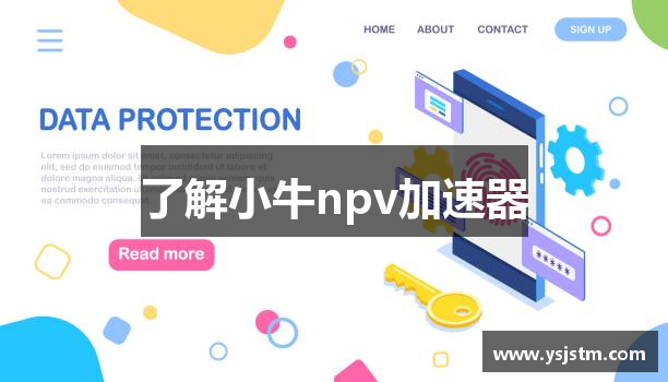 了解小牛npv加速器